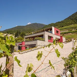 Nebbiolo Wine , Castione Andevenno Italy